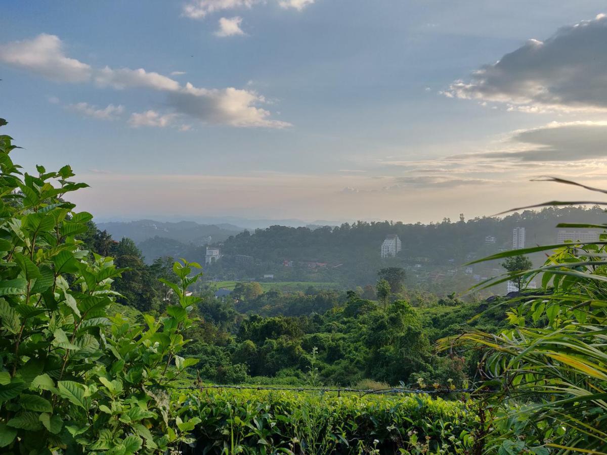 Chandys Windy Woods Munnar Zewnętrze zdjęcie